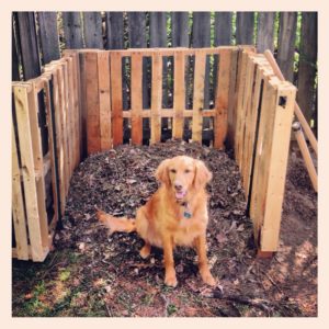 DIY Pallet Compost Bin