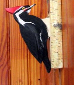 Build Your Own Woodpecker Door Knocker â€