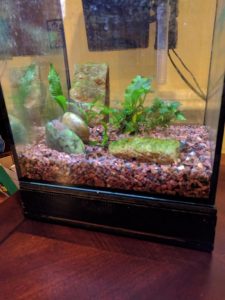 DIY Fish Tank Secret Hiding Place: Practical 8-Step Storage – Your ...