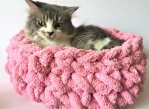 Adorable Chunky Knitted Cat Bed: 7-Step Project
