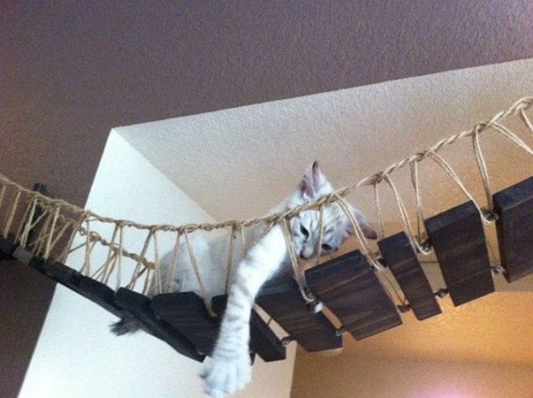 Crafting a Cat Rope Bridge 10 Creative Designs to Inspire