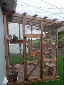 A Great Catio from IKEA Bookcases: 5 Essential Considerations – Your ...