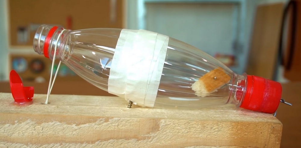 How to catch mice with a pop can and a coat hanger. DIY Mousetrap