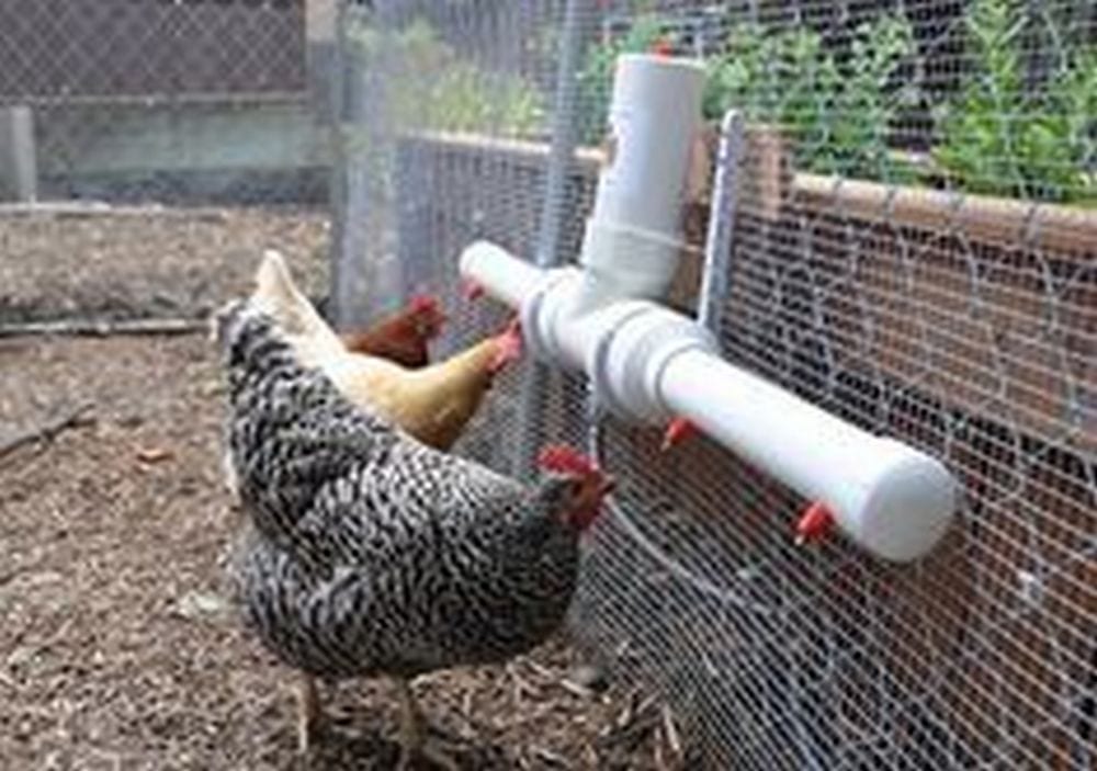 Diy Automatic Chicken Waterer With Nipple Drippers Your Projects Obn
