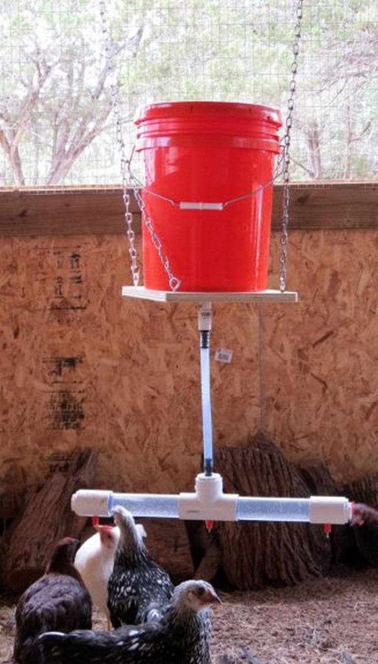 DIY Automatic Chicken Waterer with Nipple Drippers.