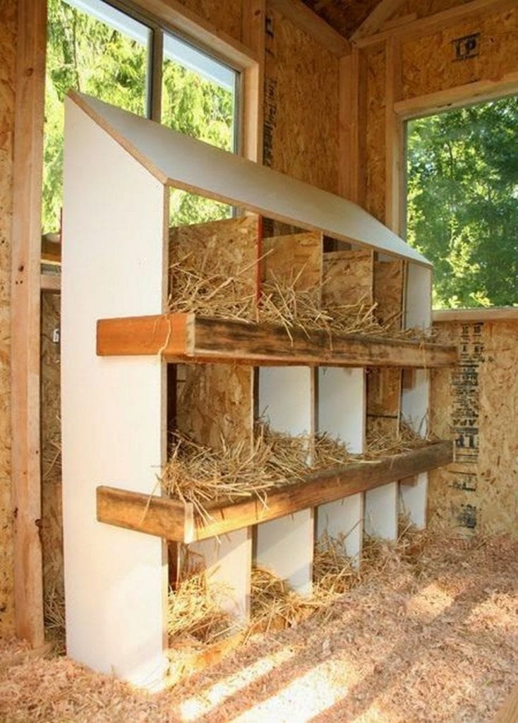 How To Build A Nesting Box For A Chicken Coop - Chicken Nesting Boxes 04