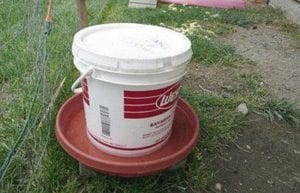 Money Saving & Convenient Bucket Chicken Feeder In 3 Steps – Your 