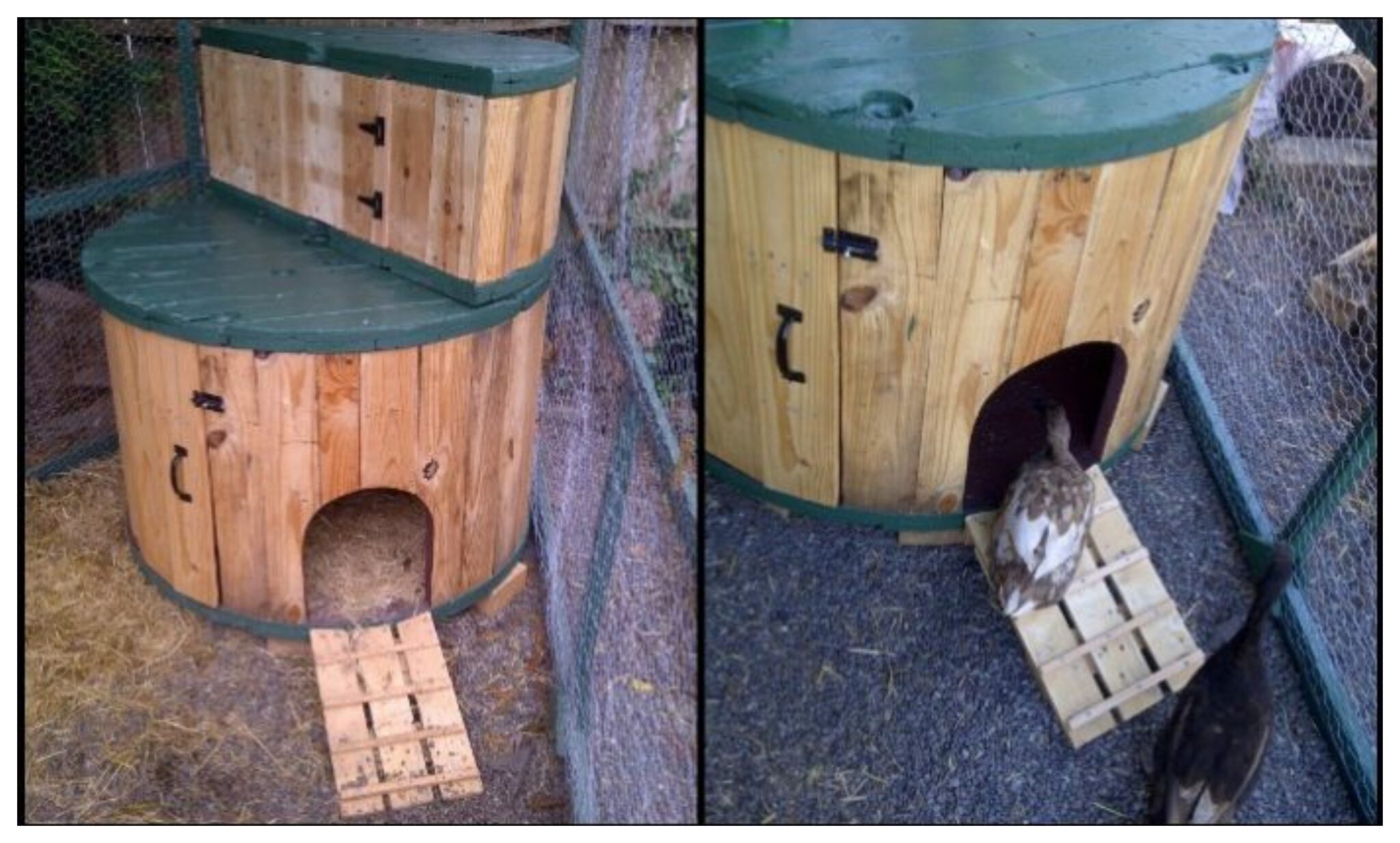 Inexpensive duck house from a wooden cable spool! - Your Projects@OBN