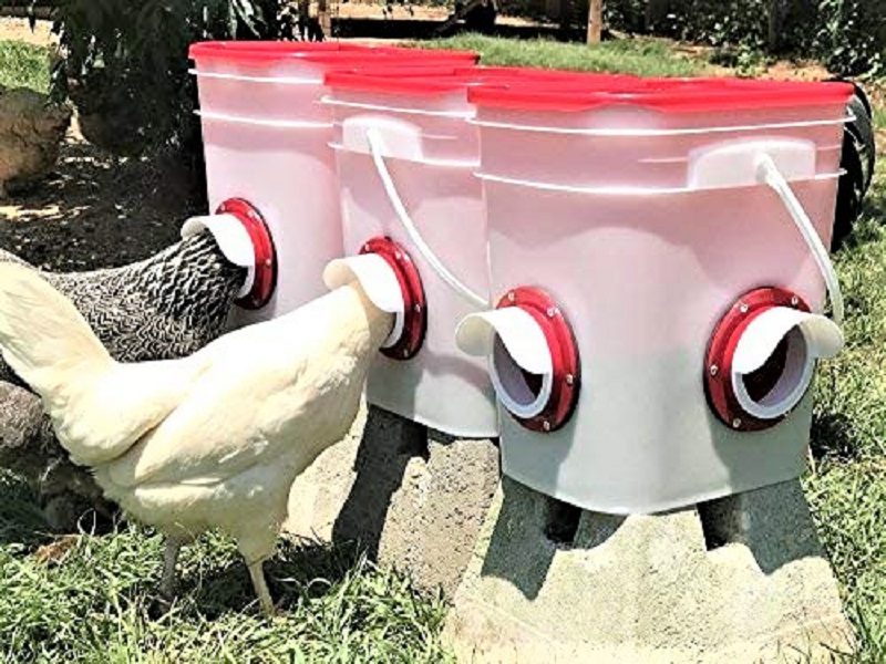 If your foremost concerns are waste and rodents, then this chicken feeder should put your mind at ease. 