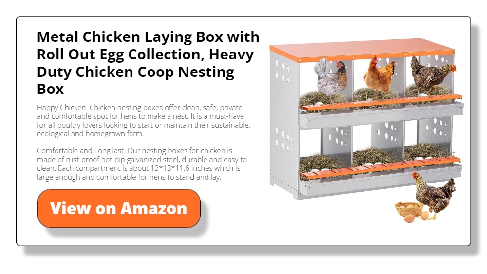 6 Compartments Metal Chicken Laying Box with Roll Out Egg Collection